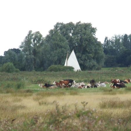 Charming Woodland Lodge 2 Person 1 Bedroom Great Yarmouth Kültér fotó